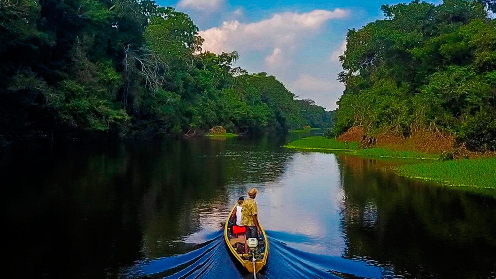 Paquete turístico: Tarapoto cerca de ti